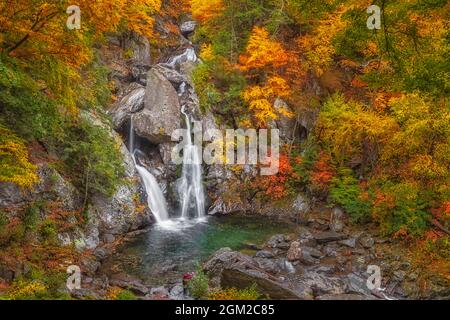 Bash Bish Falls Atumn - il fogliame autunnale circonda la cascata più alta dello stato a Mount Washington in Massachusetts, New England. Questa immagine è al Foto Stock