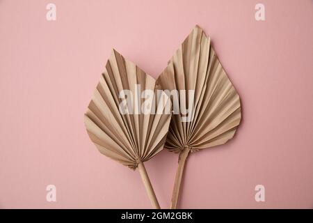 Legno di palma tropicale essiccato decorazione minimal su uno sfondo rosa pastello Foto Stock