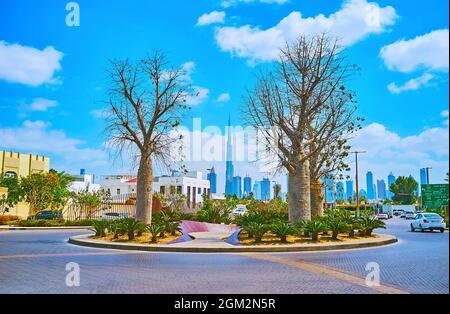 Il piccolo parco di Jumeirah con reliquie alberi di Boab Australiani e i grattacieli del centro con Burj Khalifa sullo sfondo, Dubai, Emirati Arabi Uniti Foto Stock