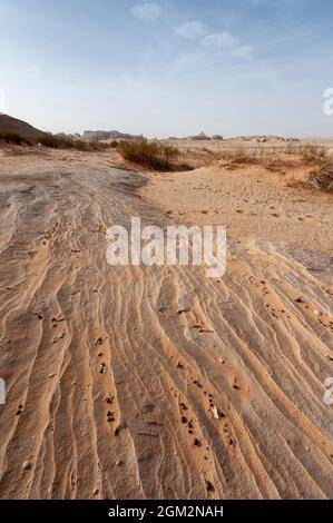 Formazioni rocciose di arenaria di forme folli nel deserto vicino a Medina e AlUla e Madain Saleh in Arabia Saudita Foto Stock