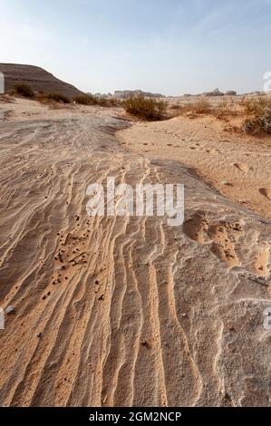 Formazioni rocciose di arenaria di forme folli nel deserto vicino a Medina e AlUla e Madain Saleh in Arabia Saudita Foto Stock