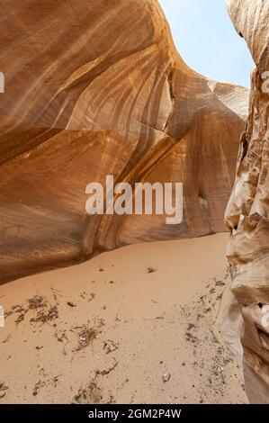 Formazioni rocciose di arenaria di forme folli nel deserto vicino a Medina e AlUla e Madain Saleh in Arabia Saudita Foto Stock