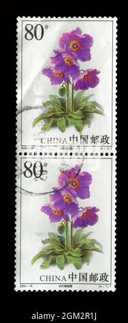 2 PC SET Stamp stampato in Cina mostra l'immagine del 2004-18 Celery Wormwood, circa 2004. Foto Stock