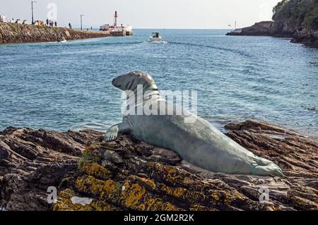 La scultura Nelson the Seal di Suzie Marsh poggia su rocce lungo il fiume Looe con il molo Banjo East Looe, e la foce del fiume che forma il b Foto Stock