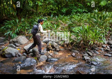 Una donna panamaniana sta camminando attraverso la foresta pluviale lungo il vecchio e sopraffollato Camino Real Trail, Repubblica di Panama, America Centrale. Foto Stock