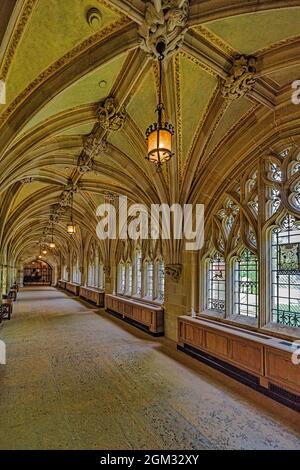 Yale University Cloister Hallway - Collegiata in stile gotico chiostro corridoio situato all'interno della Sterling Memorial Library Foto Stock