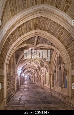 Serata dei corridoi della Princeton University - una vista di un perfetto esempio di architettura gotica Collegiata. Princeton University è una Ivy Leag privata Foto Stock