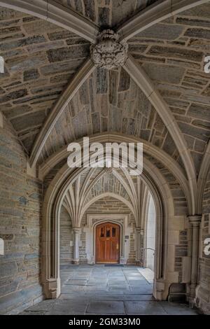 Princeton University Holder Hall Arches - una vista di un perfetto esempio di architettura Collegiata gotica stile. Princeton University è un'Ivy privata Foto Stock