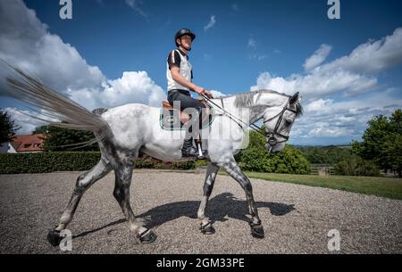 Saltatore e medaglia olimpica svedese, Peder Fredricson, a casa nella sua fattoria a Grevlunda, Svezia, 11 agosto 2021, con il suo cavallo Jumper d'oase. Foto: Johan Nilsson / TT / codice 50090 Foto Stock