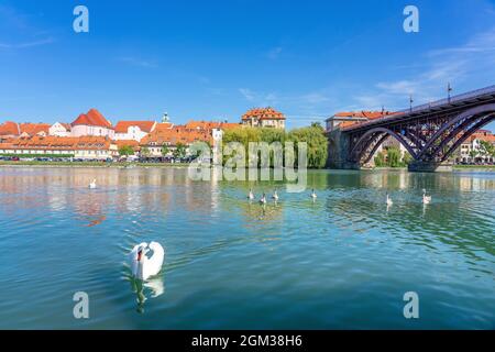 Glavni vecchio la maggior parte in Maribor con una bella vista della città vecchia fine quartiere di Quaresima giorno d'estate con cigni . Foto Stock