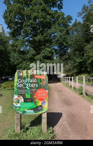 Sentiero di Sluplture temporanea Foresta di Dean Gloucestershire. Foto Stock