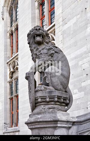 Leone di pietra. Corte Provinciale. Brugge. Fiandre. Belgio Foto Stock
