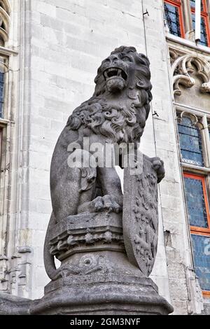 Leone di pietra. Corte Provinciale. Brugge. Fiandre. Belgio Foto Stock