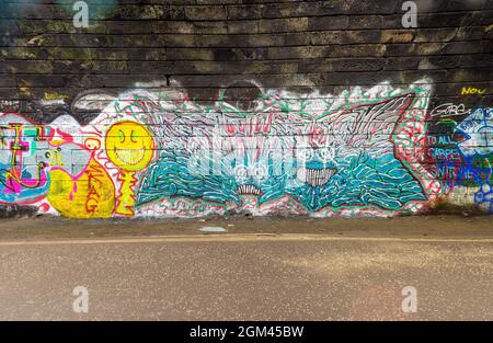 Opere d'arte Graffiti all'interno del tunnel ferroviario Innocent, Edimburgo, Scozia, Regno Unito Foto Stock