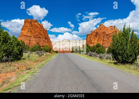 Torreggianti guglie monolitiche o camini si ergono dal fondo della valle o sporgono dalle rocce di arenaria che circondano Kodachrome Basin e ispirano un Foto Stock