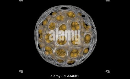 Nanocapsule , nanocarrieri . Sfera di nanoparticelle con fori asimmetrici uniformemente distribuiti. illustrazione del rendering 3d Foto Stock