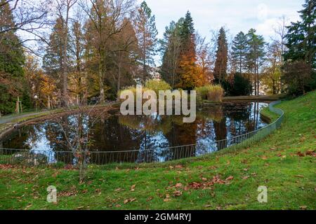 Solmsee nel Baden-Baden, im Herbst, Bäume spiegeln sich im Wasser Foto Stock