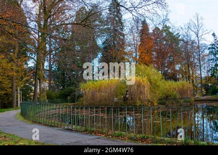 Solmsee nel Baden-Baden, im Herbst Foto Stock