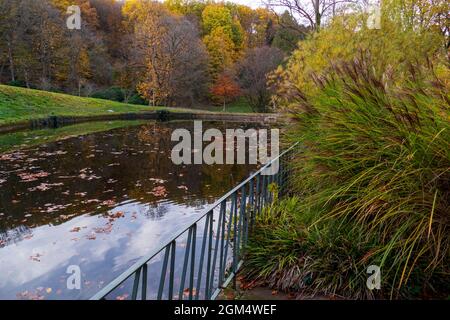Solmsee nel Baden-Baden, im Herbst Foto Stock