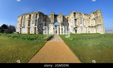 Rovine di un castello incompiuto all'alba nel comune francese di la Ferté-Milon nel dipartimento Aisne degli Hauts-de-France nel nord della Francia. Foto Stock