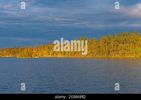 Sun Painting the Trees Against a Blue Sky and Lake on Knife Lake in the Boundary Waters in Minnesota Foto Stock