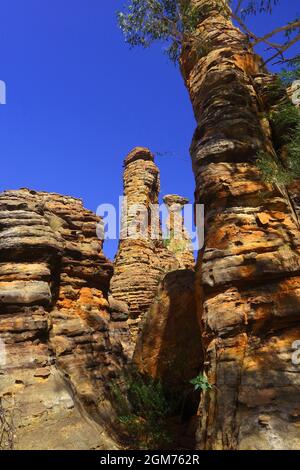 Formazioni rocciose, Southern Lost City, Limmen National Park, Northern Territory, Australia Foto Stock