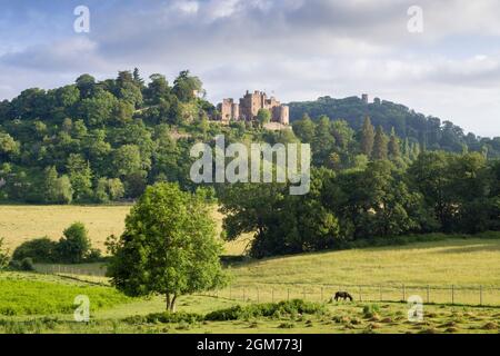 Il castello di Dunster e la Torre di Conygar si ammirano dal Dunster Park ai margini dell'Exmoor National Park, Somerset, Inghilterra. Foto Stock