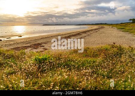 Der Strand von Kerver Plage De Kerver, Saint-Gildas-de-Rhuys, Bretagne, Frankreich | Kervert Beach Plage De Kerver, Saint-Gildas-de-Rhuys, Bretagna, Foto Stock