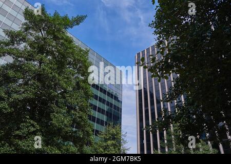Alberi di fronte ad un paio di edifici moderni di vetro del Midsecolo a Rosslyn, Virginia, vicino a Washington DC. Foto Stock