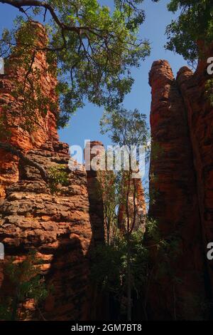 Formazioni rocciose, Southern Lost City, Limmen National Park, Northern Territory, Australia Foto Stock