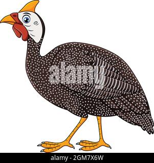 Carino Guinea Fowl cartoon illustrazione vettoriale Illustrazione Vettoriale