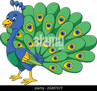 Carino Peacock uccello cartoon illustrazione vettoriale Illustrazione Vettoriale