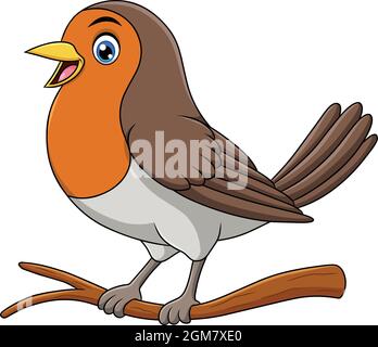 Carino Robin uccello cartoon illustrazione vettoriale Illustrazione Vettoriale