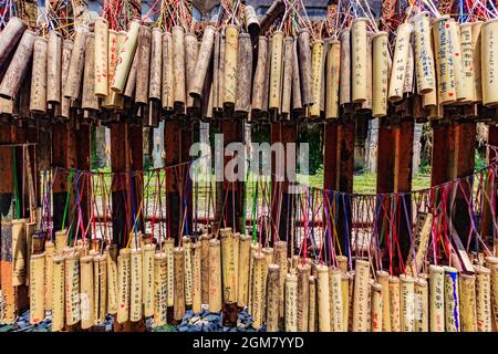 PINGXI, Taiwan - 30 Aprile 2017: tubo di bambù per augurare a Pingxi Old Street. I visitatori hanno scritto i loro auguri in bambù e poi pregare e li appenda insieme Foto Stock