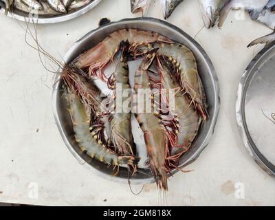 Gamberetti crudi Tiger su piatto per la vendita. Gamberi della tigre Foto Stock