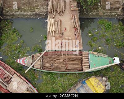 Narayanganj, Dhaka, Bangladesh. 17 settembre 2021. I lavoratori stanno scaricando grossi tronchi di legname da una barca sulla riva del fiume Sitalaksya a Narayanganj, Bangladesh. I tronchi provengono da diverse parti del paese in questo mercato del legno. (Credit Image: © Joy Saha/ZUMA Press Wire) Foto Stock