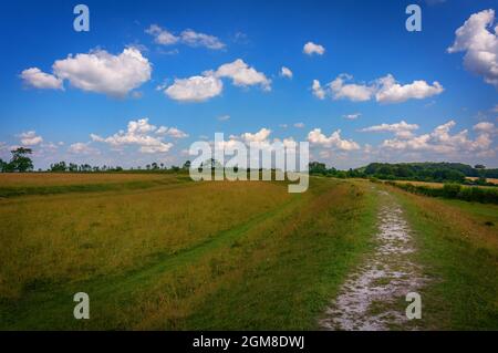 Figsbury Ring Iron Age Hill Fort vicino a Salisbury, Wiltshire, Regno Unito Foto Stock