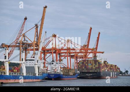 Gdynia, Polonia 15 settembre 2021. Terminal dei container baltici a Gdyni, Polonia. Gru terminali e contenitori sulla nave Foto Stock