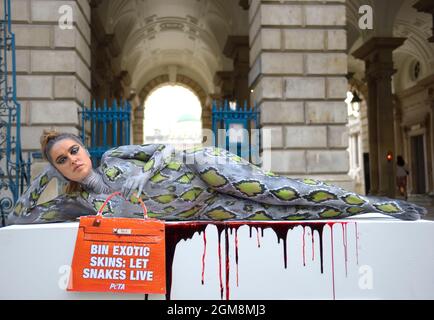 Londra, Regno Unito. 17 settembre 2021. TOWIE STAR Chloe Ross si pone in vernice per carrozzeria rettile al di fuori della Somerset House il secondo giorno di London Fashion Week come parte di una campagna PETA per attirare l'attenzione sull'uso di pelli esotiche nell'industria della moda Credit: Phil Robinson/Alamy Live News Foto Stock
