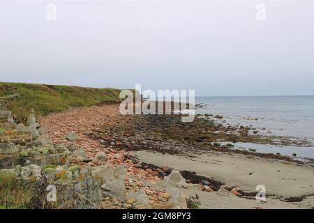 Freswick Bay, Highlands. Foto Stock