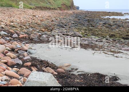 Freswick Bay, Highlands. Foto Stock