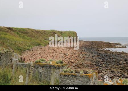 Freswick Bay, Highlands. Foto Stock