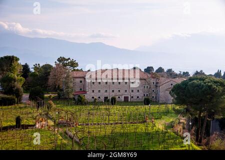 Vigneto e monastero dell'Abbazia di Montecassino, Italia. Foto Stock