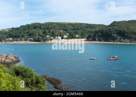 L'estuario di Salcombe e Kingsbridge nel South Hams, Devon, Regno Unito Foto Stock