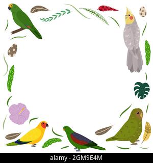 Modello di cornice con uccelli esotici cartoni animati. Composizione rettangolare tropicale con aratinga, kakapo, cockatiel e pappagalli amazzoni. Design per bambini asilo. Illustrazione Vettoriale