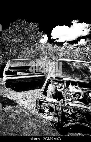 La stilizzazione in bianco e nero abbandonò le auto dopo un incidente nel primo piano della natura Foto Stock