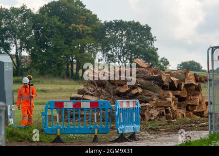 Wendover, Aylesbury, Regno Unito. 16 settembre 2021. Vaste paludi di boschi e siepi sono state distrutte da HS2. Credit: Maureen McLean/Alamy Foto Stock