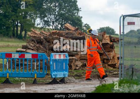 Wendover, Aylesbury, Regno Unito. 16 settembre 2021. Vaste paludi di boschi e siepi sono state distrutte da HS2. Credit: Maureen McLean/Alamy Foto Stock