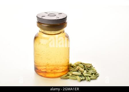 olio di finocchio isolato su sfondo bianco Foto Stock