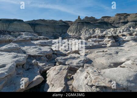 I montoni oscurati circondano un campo di tripstones in primo piano rendendo difficile la base Foto Stock